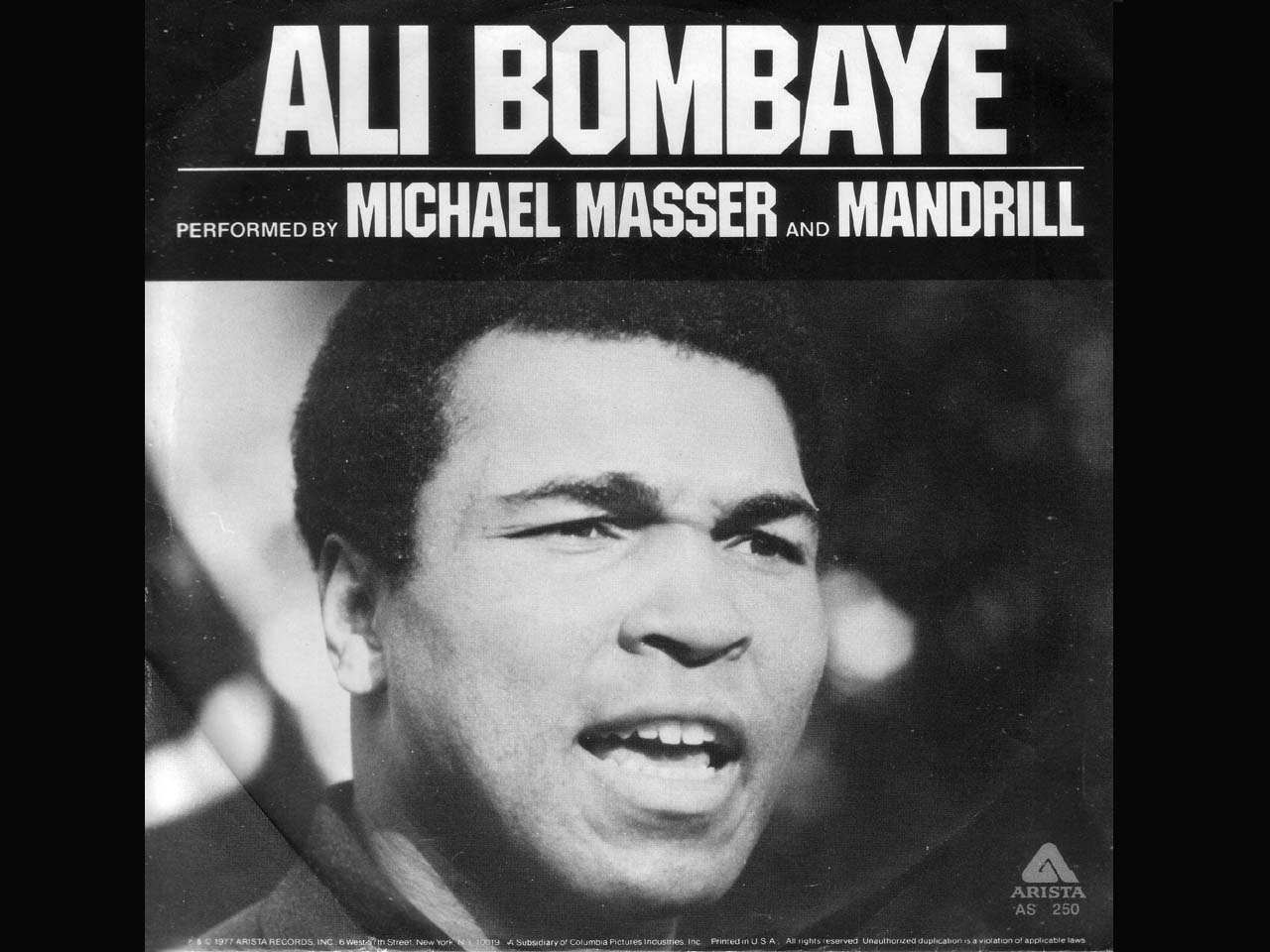 Mandrill -Ali Bombaye