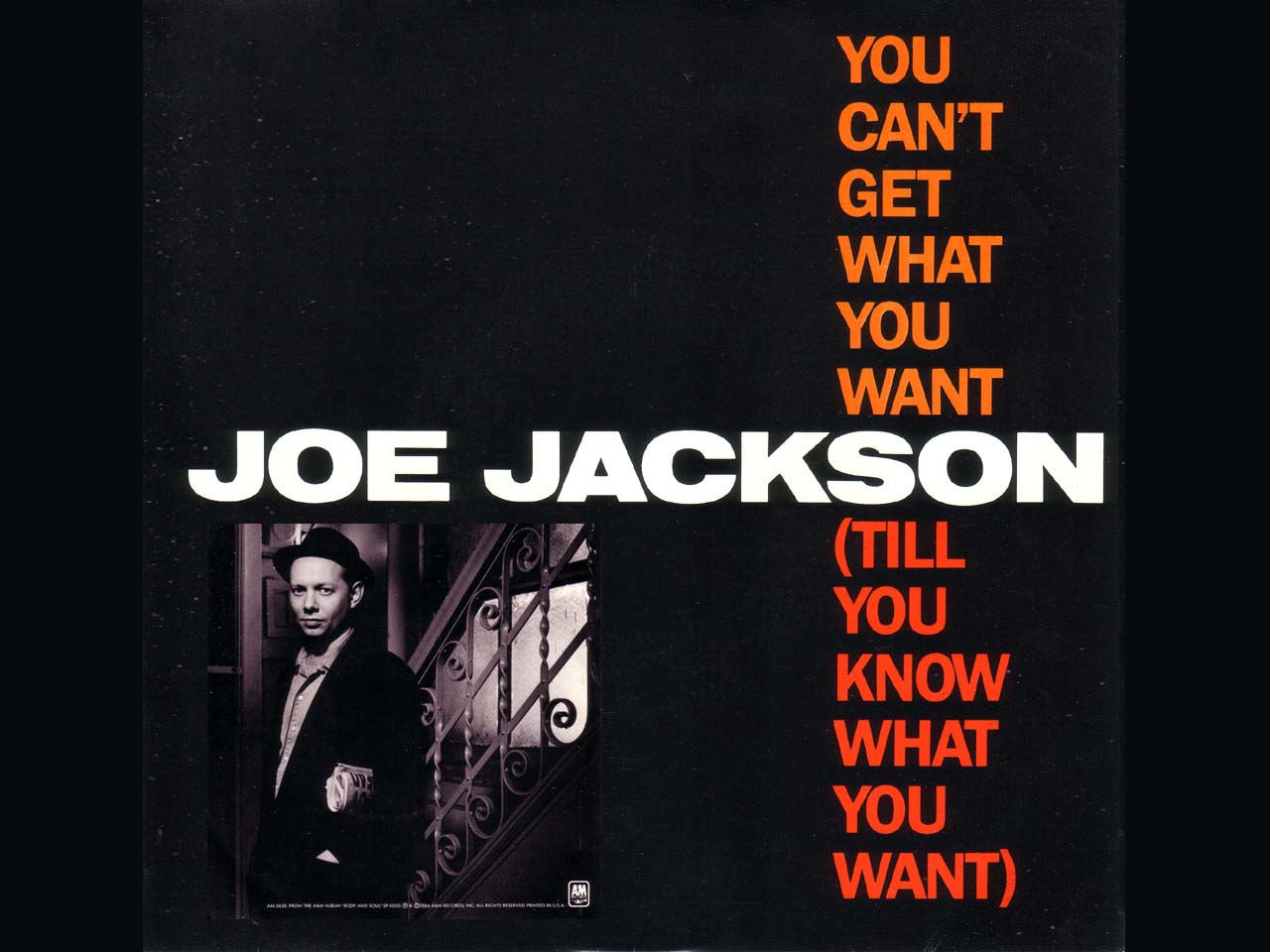joe-jackson-you-cant-get-what-you-want background
