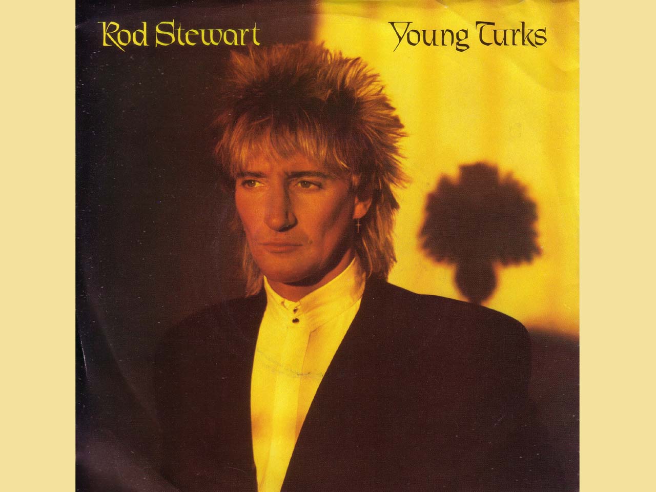 rod-stewart-young-turks background