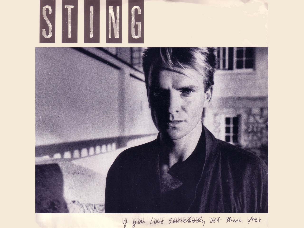 sting-if-you-love-somebody-set-them-free background