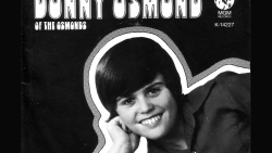 Donny Osmond Sweet And Innocent