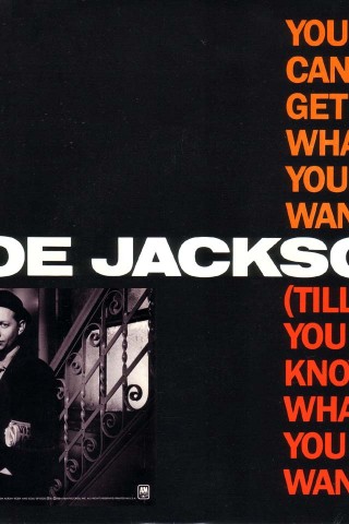 Joe Jackson You Cant Get What You Want